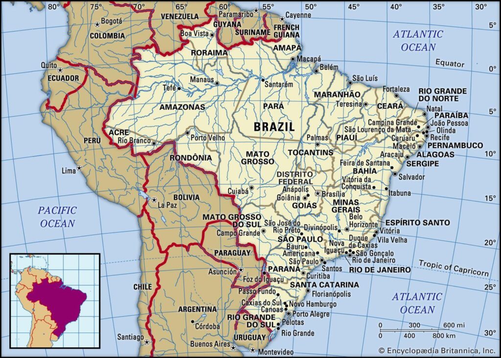 From Underdog to Powerhouse: The Rise of Brazil as a Thriving Cricket Market