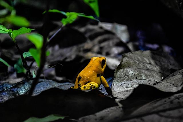 Sneh Rana, Renuka Singh, and Pratika Rawal Celebrate Exciting Railways Job Promotions After ODI World Cup Triumph Sneh Rana, Renuka Singh, and Pratika Rawal Celebrate Exciting Railways Job Promotions After ODI World Cup Triumph