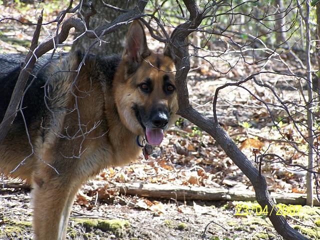 From Sleeping in Cricket Gear to Ashes Contender: The Remarkable Rise of Ollie Peake From Sleeping in Cricket Gear to Ashes Contender: The Remarkable Rise of Ollie Peake
