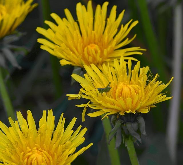 Stunning Moments from the 1st ODI Clash Between West Indies Women and Australia Women Stunning Moments from the 1st ODI Clash Between West Indies Women and Australia Women